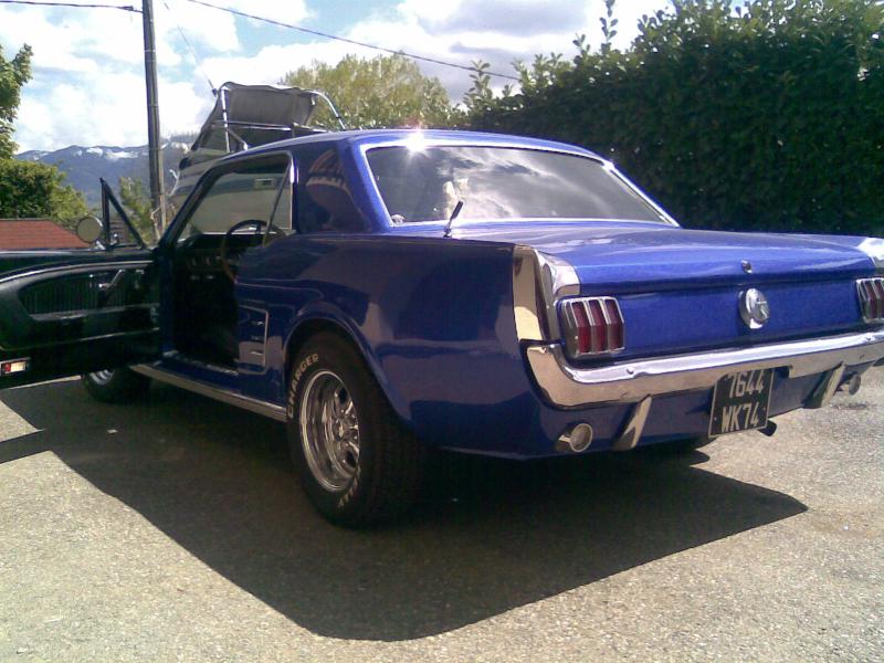 Stang 4.jpg